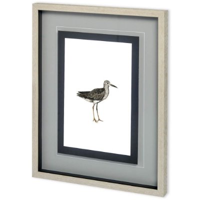 10729 - Custom Sea Bird III by Grace Popp a Framed Art Print Matted under Glass