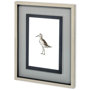 10732 - Custom Sea Bird VI by Grace Popp a Framed Art Print Matted under Glass