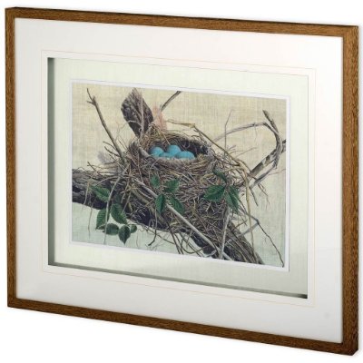 10778 - Custom Nesting II (MC) by John Butler Hand Embellished Textured Framed Art Print Matted under Glass