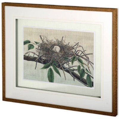 10779 - Custom Nesting III (MC) by John Butler Hand Embellished Textured Framed Art Print Matted under Glass