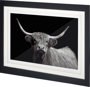10856 - Highland Spirit - Framed Art Photograph Matted under Glass