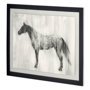 10967 - Custom Appaloosa Study II (MC) by Ethan Harper Hand Embellished Textured Framed Decograph Art Print