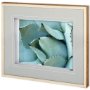 11113 - Agave Detail I by Alison Jerry a Framed Photo Art Print Matted under Glass