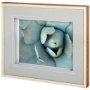 11114 - Agave Detail II by Alison Jerry a Framed Photo Art Print Matted under Glass