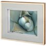 11115 - Agave Detail III by Alison Jerry a Framed Photo Art Print Matted under Glass