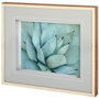 11116 - Agave Detail IV by Alison Jerry a Framed Photo Art Print Matted under Glass