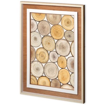 11176 - Tree Ring Study II by Mercana Studio a Framed Art Print Matted under Glass