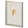 11219 - Custom Spiny Murex by Maleki, Ferdos a Framed Art Print Matted under Glass