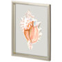 11223 - Custom Spider Conch by Maleki, Ferdos a Framed Art Print Matted under Glass