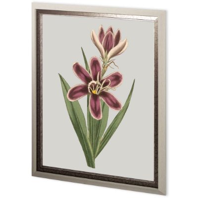 11236 - Custom Floral Gems III by Ferdos Maleki Hand Embellished Textured Framed Art Print Matted under Glas