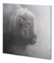 100747-L - Wake Up in the Night II by Mercana Studio a Hand Embellished Textured Canvas