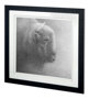 11694 - Wake Up in the Night II by Simone a Framed Art Print Matted under Glass