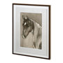 11991 - Horse Portrait II by Mercana Studio a Hand Embellished Textured Framed Art Print Matted under Glass