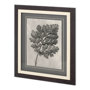 11965 - Custom Blossfeldt Botanical III Karl Blossfeldt Hand Embellished Framed Art Print Matted under Glass