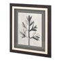 11964 - Custom Blossfeldt Botanical I by Karl Blossfeldt Hand Embellished Framed Art Print Matted under Glas