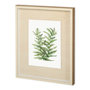 11942 - WILD GREENS II by MEYERS a Framed Art Print Matted under Glass