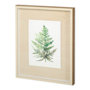 11941 - WILD GREENS I  by MEYERS a Framed Art Print Matted under Glass