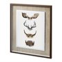 11686 - Horn & Tail Study II by Mercana Studio Hand Embelished Textured Framed Art Print Matted under Glass