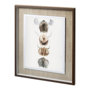 11685 - Horn & Tail Study I by Mercana Studio Hand Embelished Textured Framed Art Print Matted under Glass