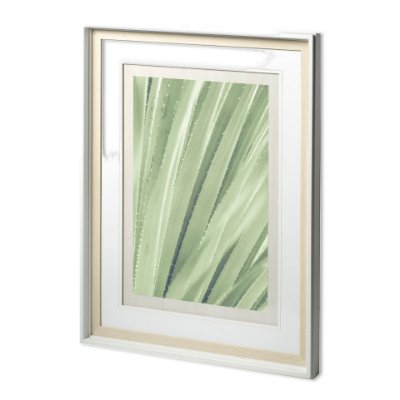 11652 - Guadalupe - Framed Art Photograph Matted under Glass