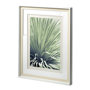 11651 - Chisos - Framed Art Photograph Matted under Glass