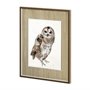 11498 - Owl II by Patti Mann a Hand Embellished Textured Framed Art Print Matted under Glass