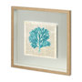 11475 - Seaweed Pages by Christopher James a Hand Embellished Textured Framed Art Print Matted under Glass