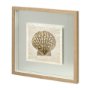 11474 - Scallop Shell Pages by Christopher James Hand Embellished Framed Art Print Matted under Glass