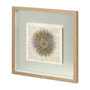 11473 - Sea Urchin Pages by Christopher James Hand Embellished Textured Framed Art Print Matted under Glass