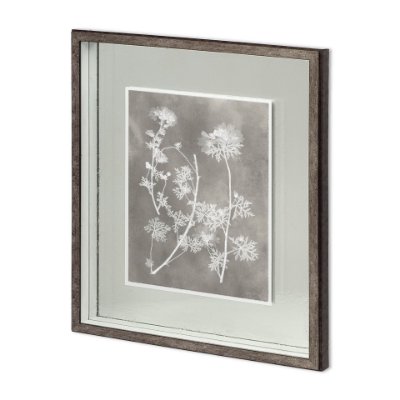 11419 - Custom Herbarium Study IV by Vision Studio Hand Embellished Framed Art Print Matted under Glass