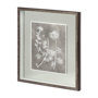 11419 - Custom Herbarium Study IV by Vision Studio Hand Embellished Framed Art Print Matted under Glass