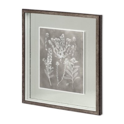 11418 - Custom Herbarium Study III by Vision Studio Hand Embellished Framed Art Print Matted under Glass