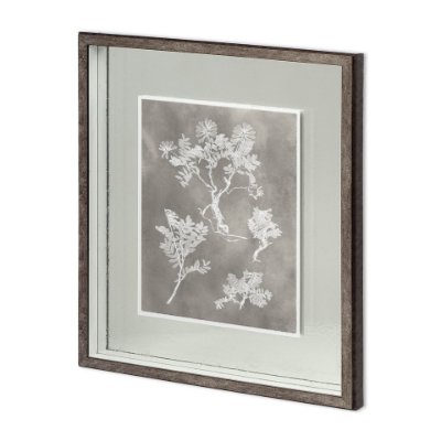 11417 - Custom Herbarium Study II by Vision Studio Hand Embellished Framed Art Print Matted under Glass