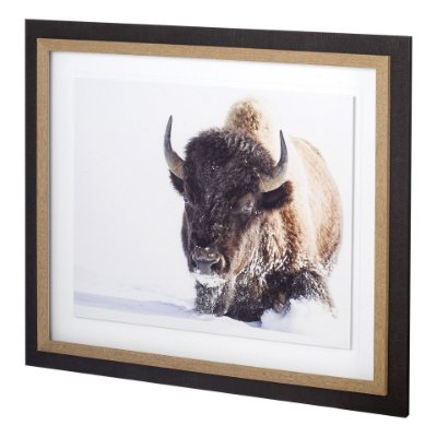 11393 - Tenacity by Wink Gaines a Hand Embellished Textured Framed Art Photograph Matted under Glass