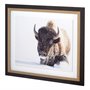 11393 - Tenacity by Wink Gaines a Hand Embellished Textured Framed Art Photograph Matted under Glass