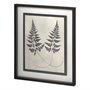 11386 - Vintage Fern Study by Mercana Studio a Hand Embellished Textured Framed Art Print Matted under Glass