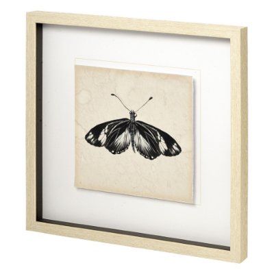 11352 - Butterfly Study VI by Melissa Wang a Hand Embellished Textured Framed Art Print Matted under Glass