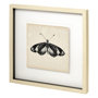 11352 - Butterfly Study VI by Melissa Wang a Hand Embellished Textured Framed Art Print Matted under Glass