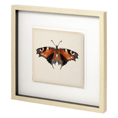 11351 - Butterfly Study IV by Melissa Wang a Hand Embellished Textured Framed Art Print Matted under Glass