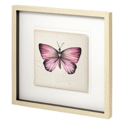 11350 - Butterfly Study IV by Melissa Wang a Hand Embellished Textured Framed Art Print Matted under Glass