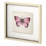 11350 - Butterfly Study IV by Melissa Wang a Hand Embellished Textured Framed Art Print Matted under Glass