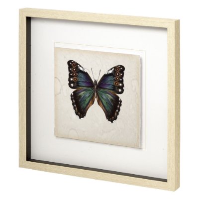 11349 - Butterfly Study III by Melissa Wang a Hand Embellished Textured Framed Art Print Matted under Glass