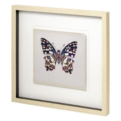 11348 - Butterfly Study II by Melissa Wang a Hand Embellished Textured Framed Art Print Matted under Glass