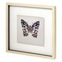 11348 - Butterfly Study II by Melissa Wang a Hand Embellished Textured Framed Art Print Matted under Glass