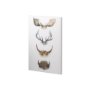100731-S - Horn & Tail Study II by Mercana Studio a Hand Embellished Textured Canvas
