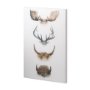 100731-L - Horn & Tail Study II by Mercana Studio a Hand Embellished Textured Canvas