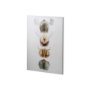 100730-S - Horn & Tail Study I by Mercana Studio a Hand Embellished Textured Canvas