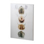 100730-L - Horn & Tail Study I by Mercana Studio a Hand Embellished Textured Canvas