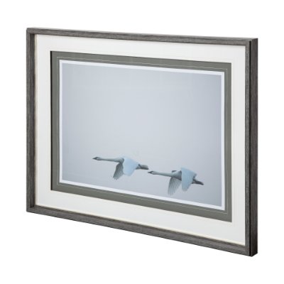 12082 - Andante I by Nancy Crowell a Framed Photo Art Print Matted under Glass