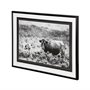 12119 - B&W Longhorn II by Tyler Stockton a Framed Photo Art Print Matted under Glass